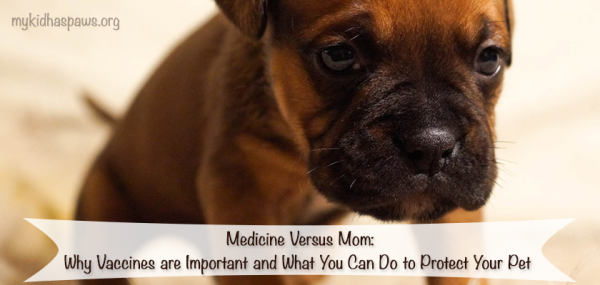 MedicinevMom-Vaccines