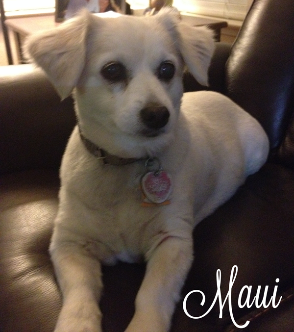 Maui