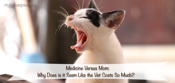 MVMVeterinary-Costs