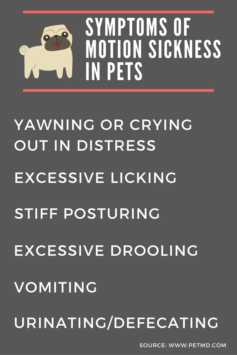 Signs of Motion Sickness in Pets