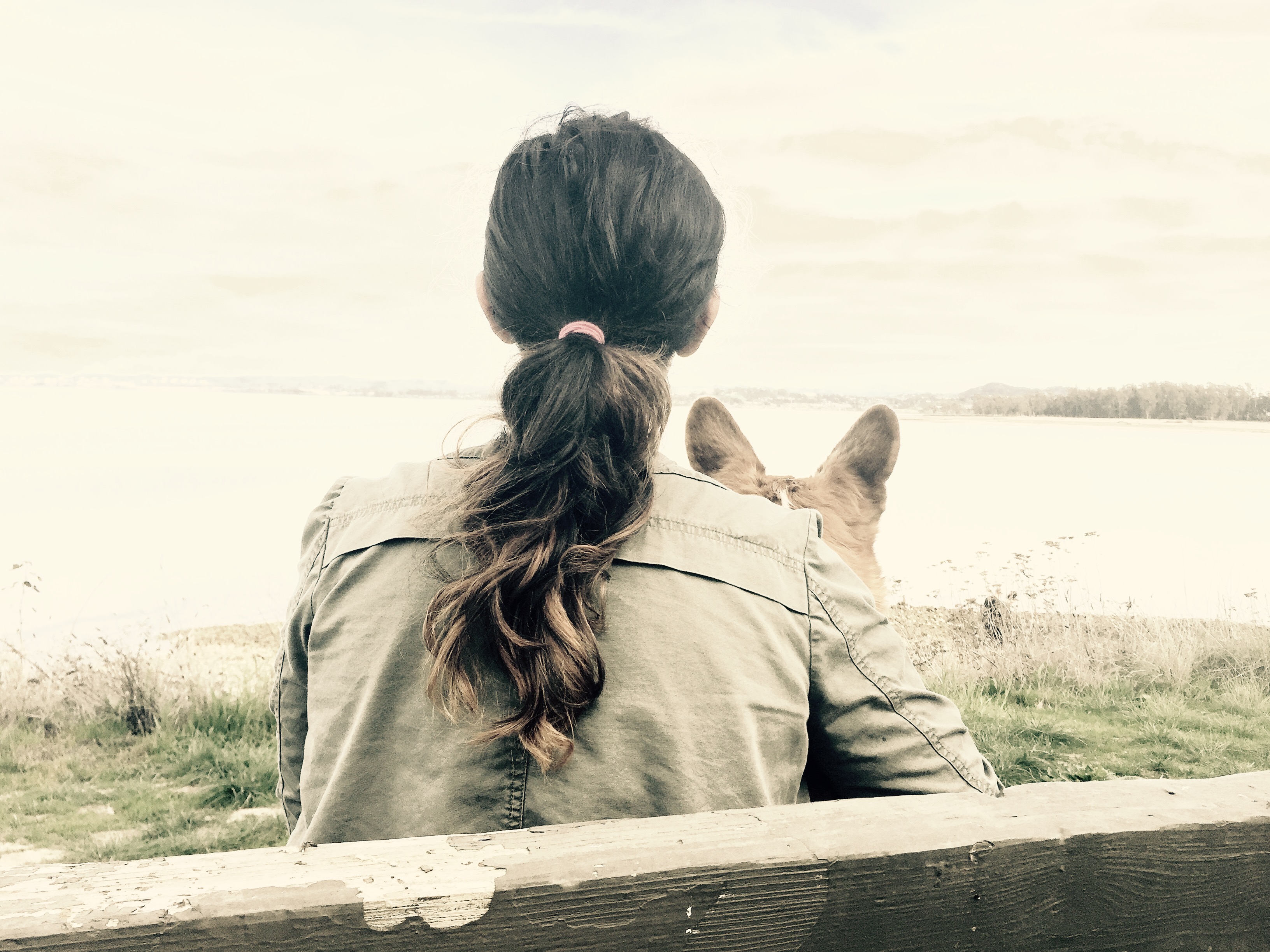 3 Biggest Challenges for Pet Parents Who Work Full-Time