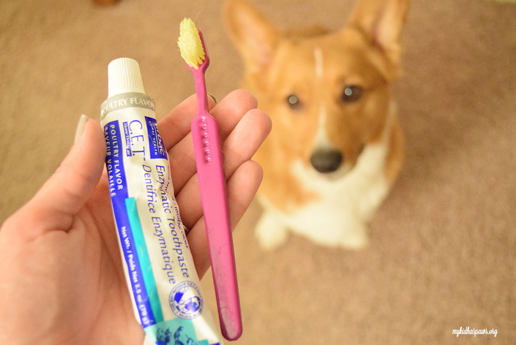 February is National Pet Dental Health Month