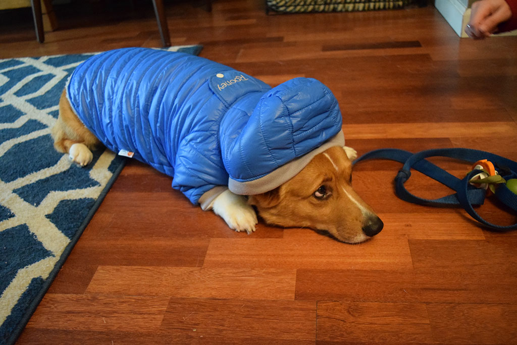 Spring Snow Essentials