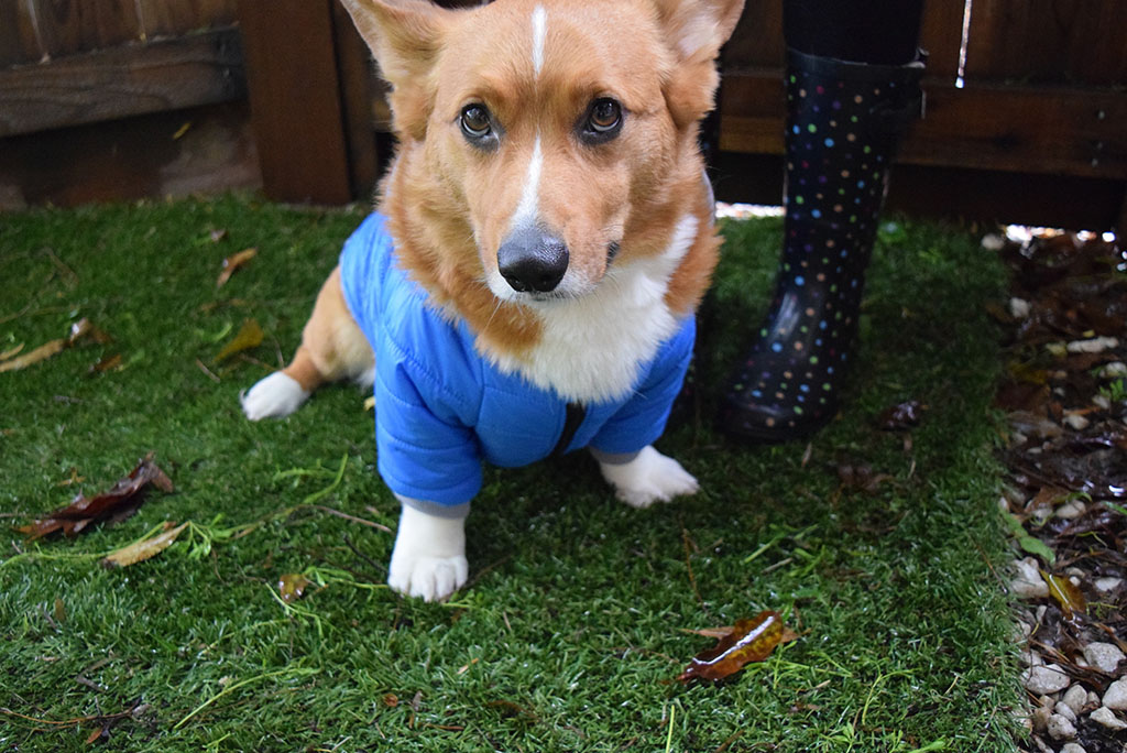 Spring Snow Essentials