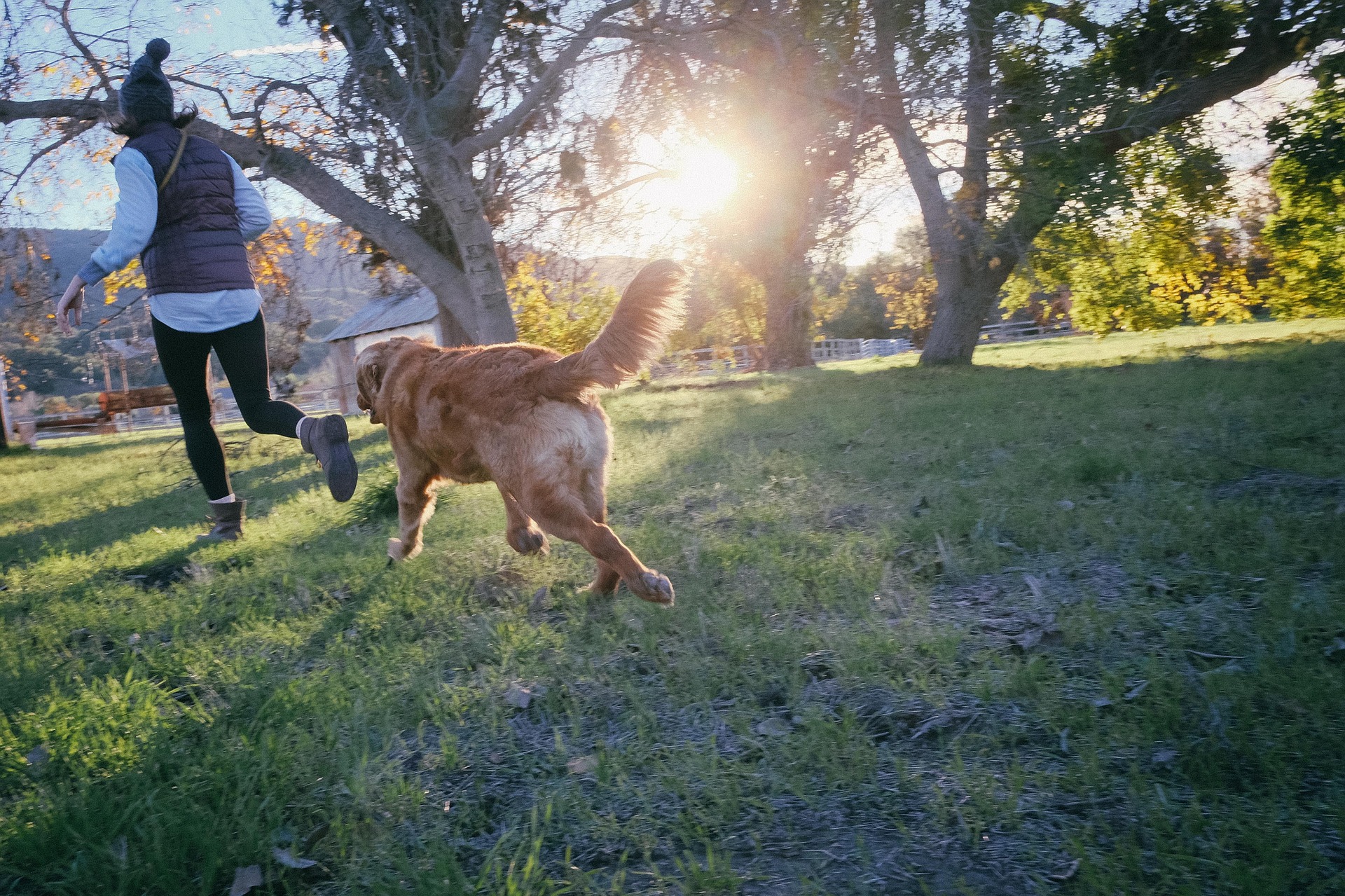 4 Ways to Reduce Allergy Symptoms for You and Your Pets!