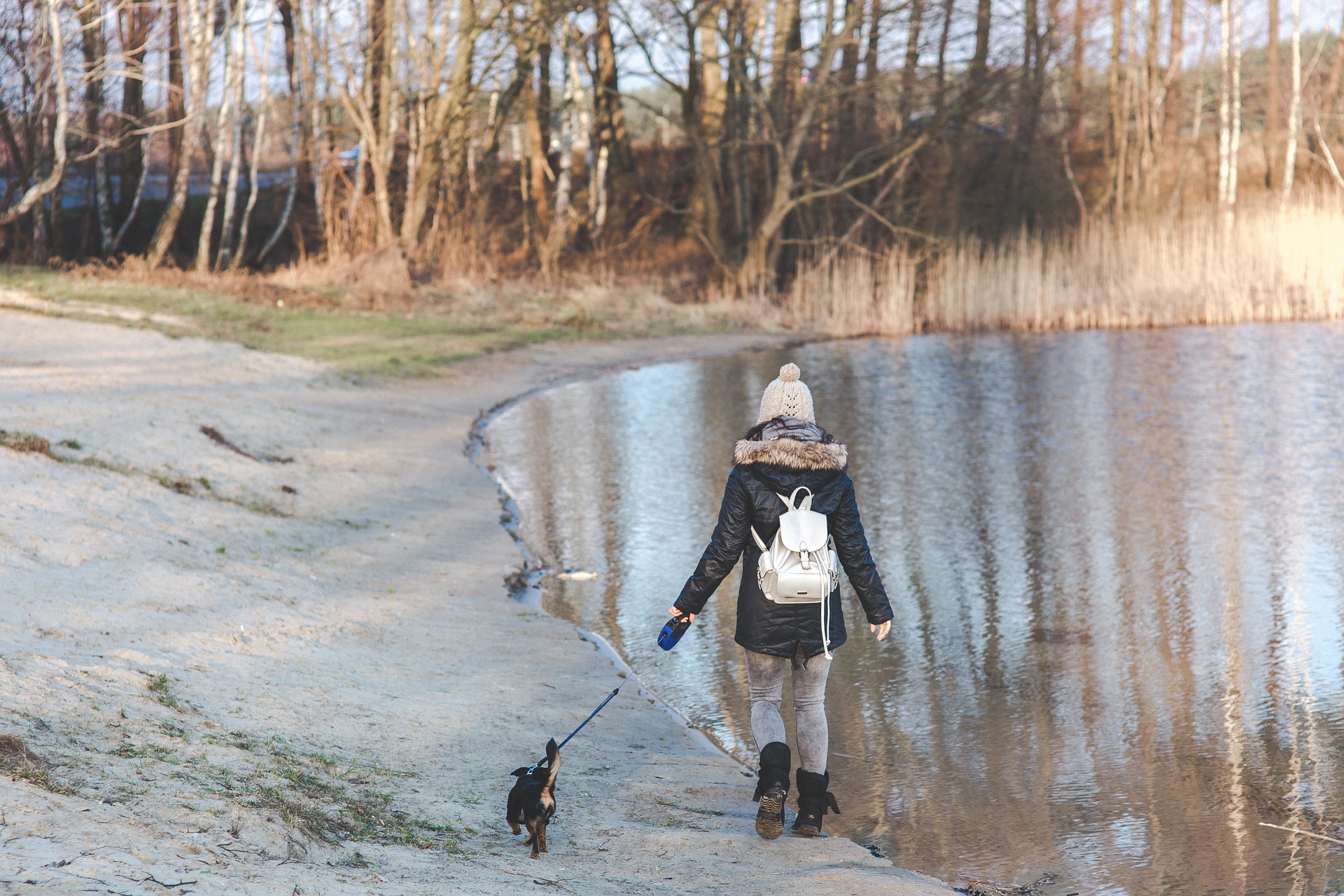 Global Pet Industry Trends