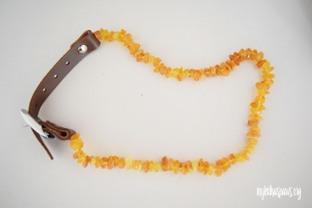 A Natural Alternative for Flea & Tick Medication: Amber Crown Collar