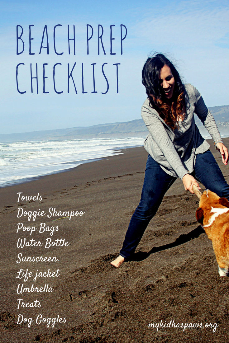Everything You Need When Taking Your Dog to the Beach