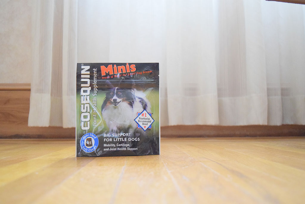 Pet Toys, Treats, and Everything You Need for the Pets in Your Life!