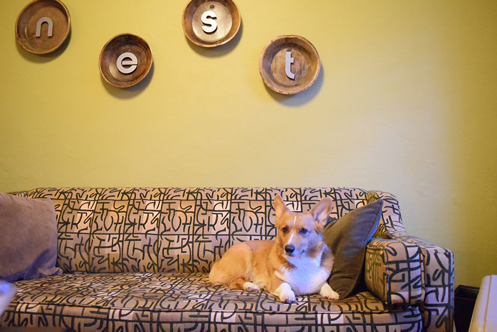 Southwest Road Trip with Your Dog