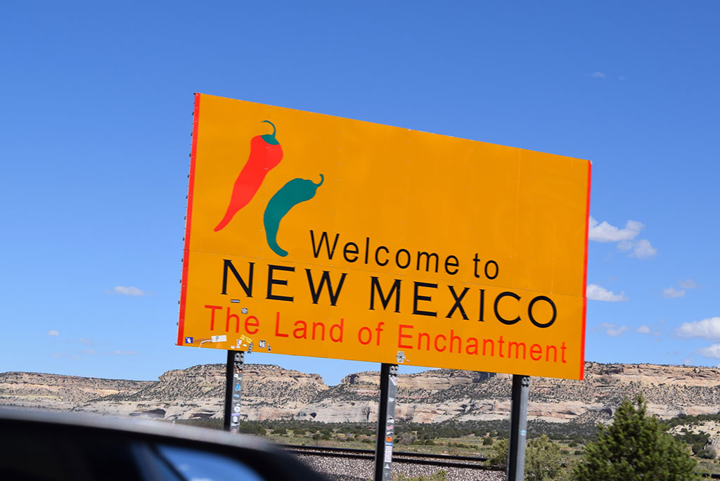 Southwest Road Trip with Your Dog