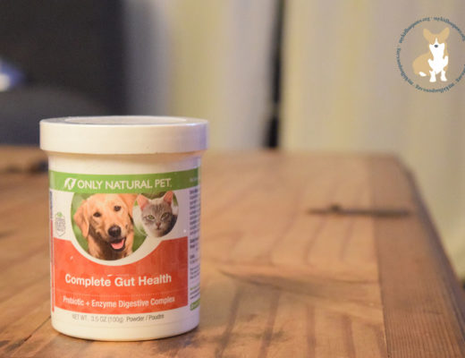 Probiotics for Pets