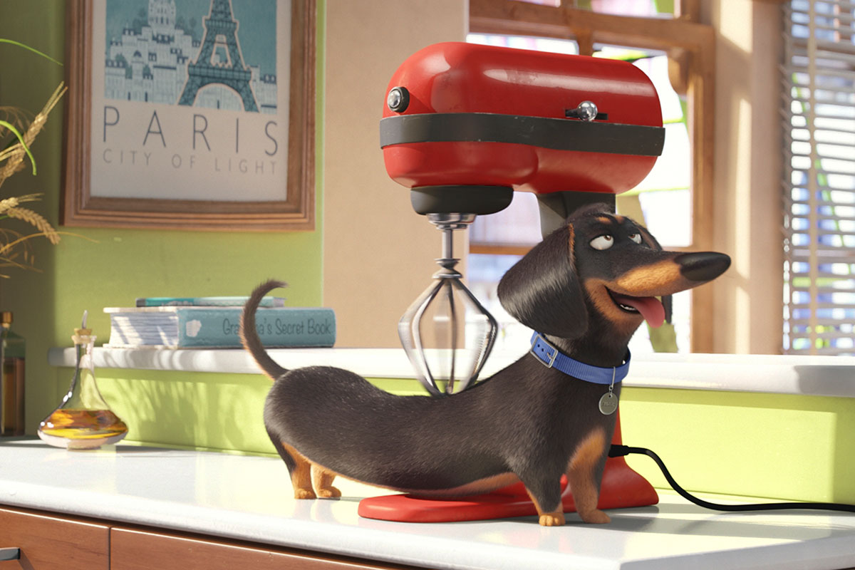 Canine Massage: Necessity or Luxury?