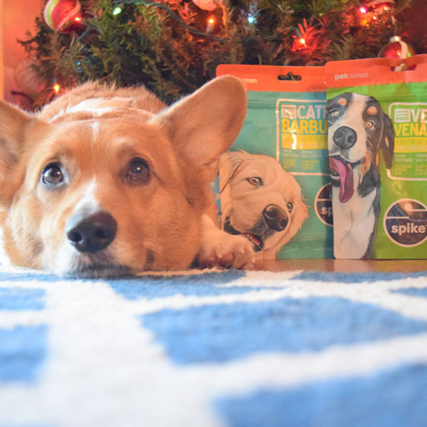 SPIKE Treats Stocking Stuffers with Petcurean