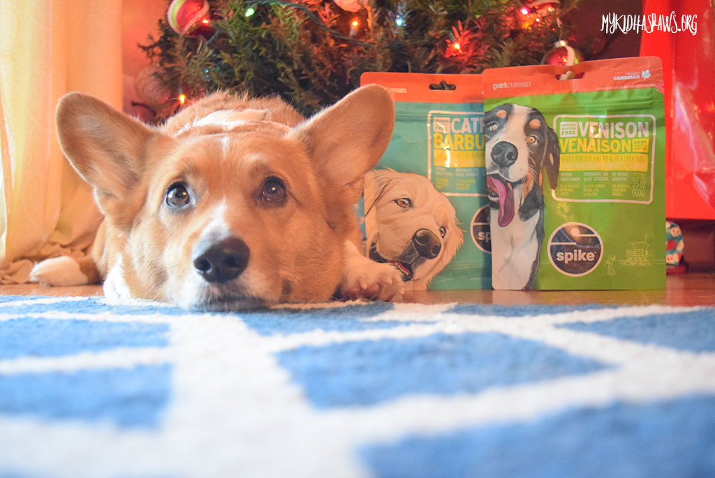 SPIKE Treats Stocking Stuffers with Petcurean