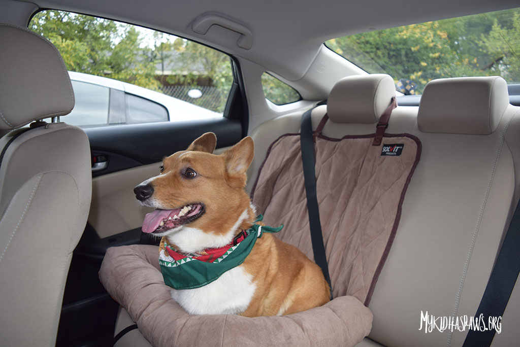 Traveling in Style & Comfort with SolvIt