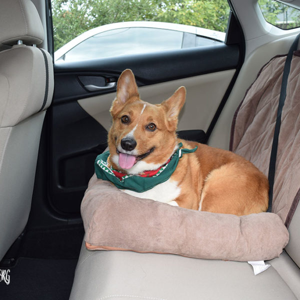 Traveling in Style & Comfort with SolvIt