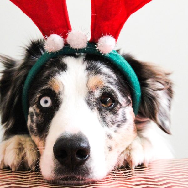 Checklist for Holiday Cleaning