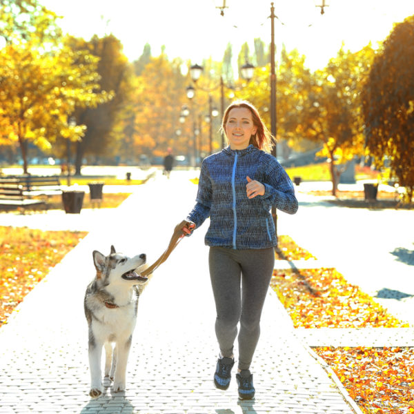 Help New Moms with Dogs - Petcurean