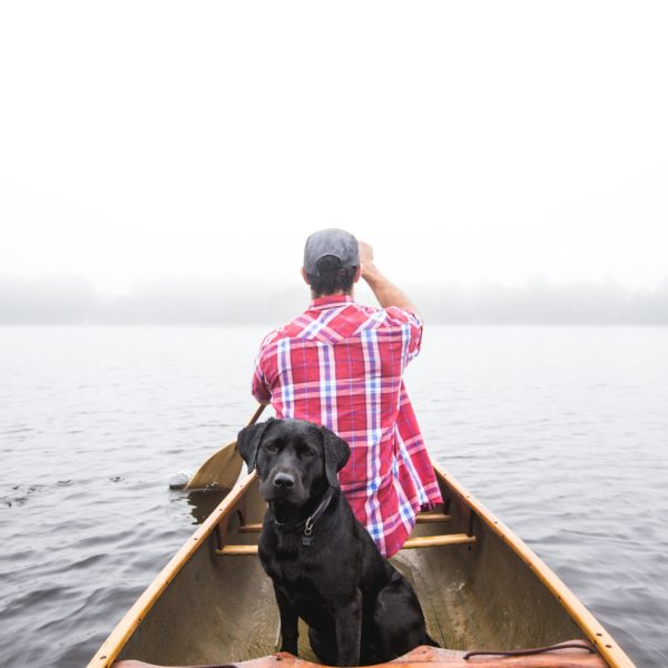 3 Ways to Bond with Your Dog - Petcurean