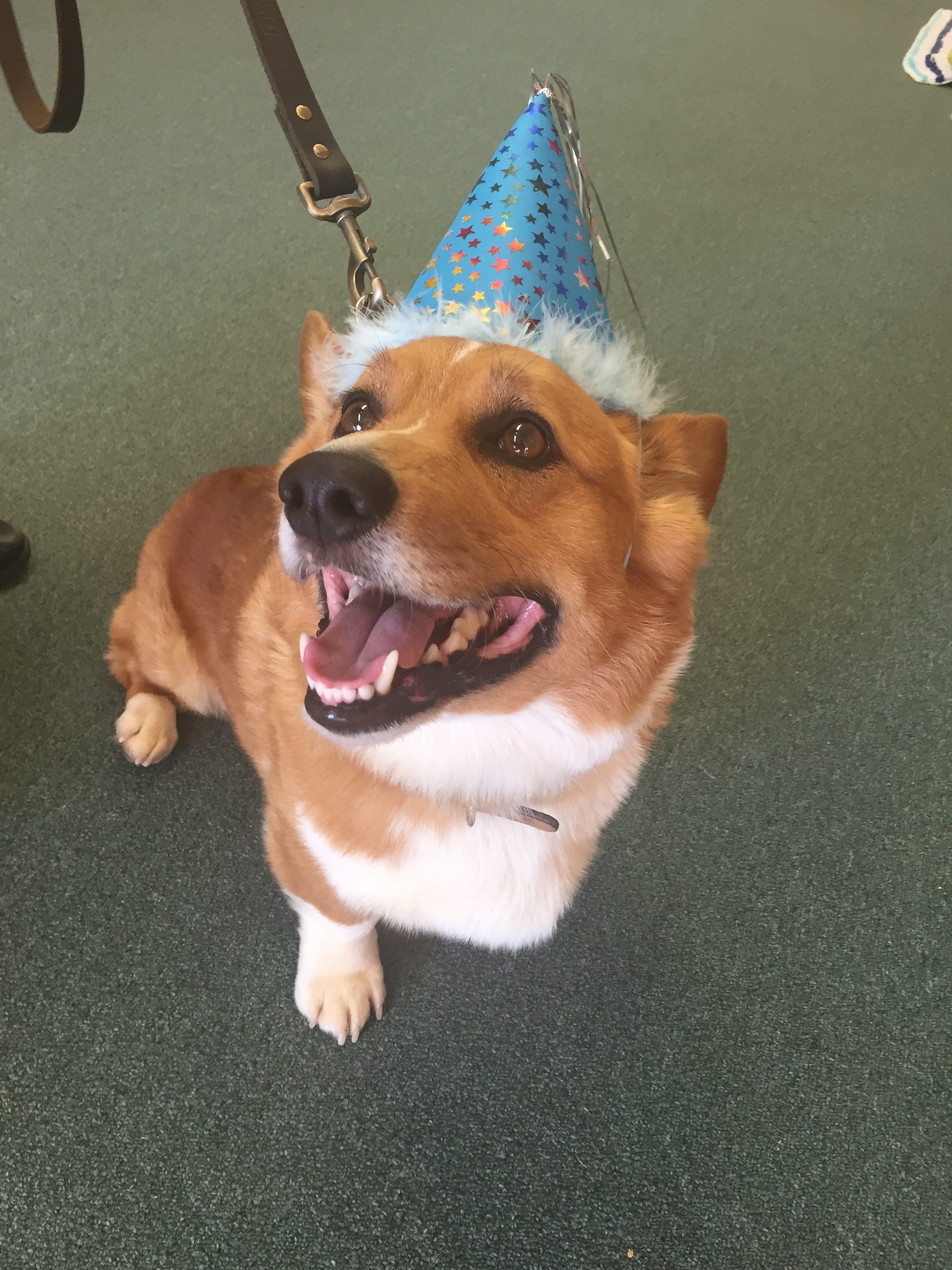 Rooney's Birthday