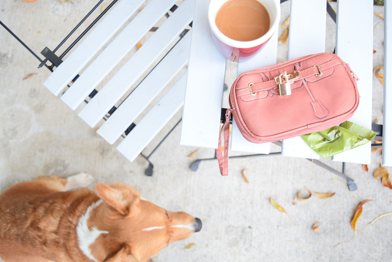 A Dog-Mom-Friendly Wristlet + A Giveaway 