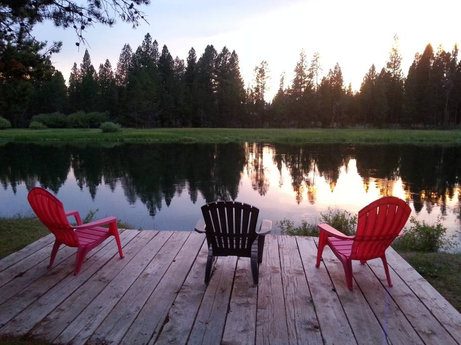 9 Dog-Friendly West Coast Airbnbs We Want to Visit!