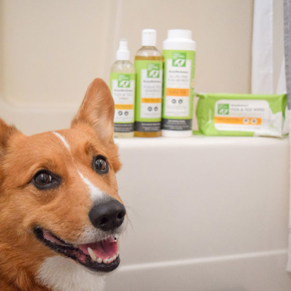 Fighting Fleas and Ticks with Only Natural Pet