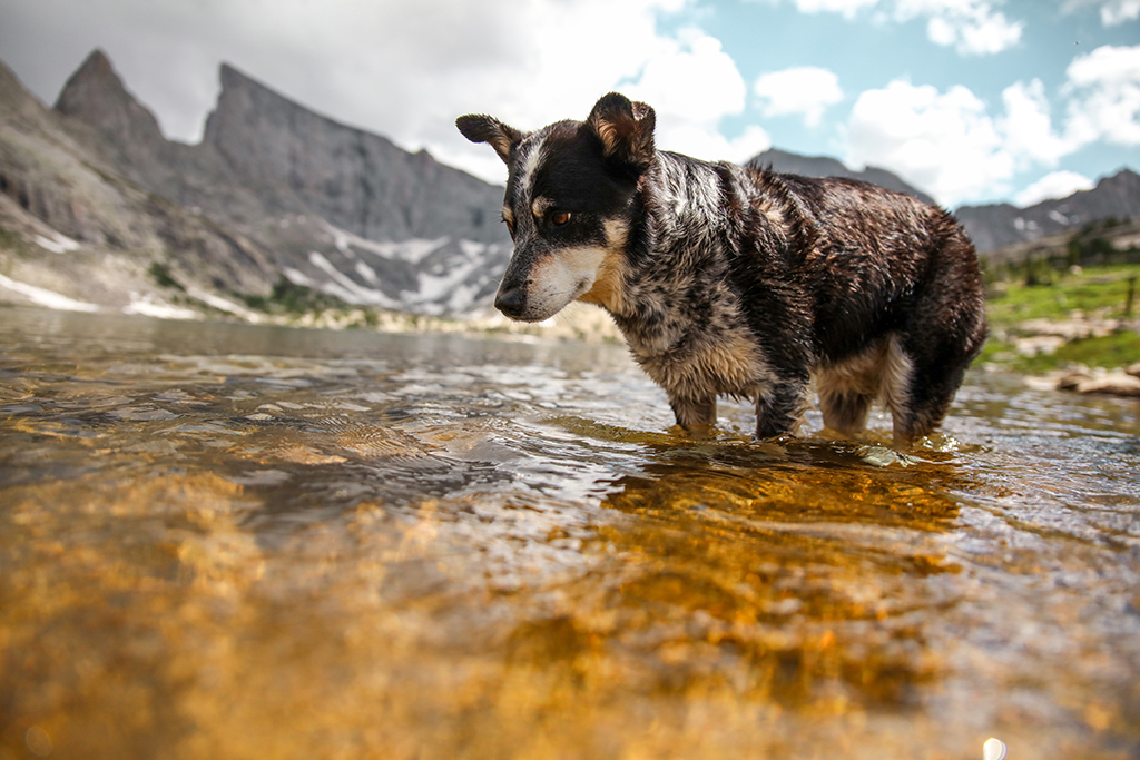 Photo by Patrick Hendry on Unsplash