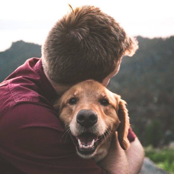 Today we outline how to protect your pets from fires. Including home fire safety, fire evacuation, and adjusting to poor air quality due to wildfires.