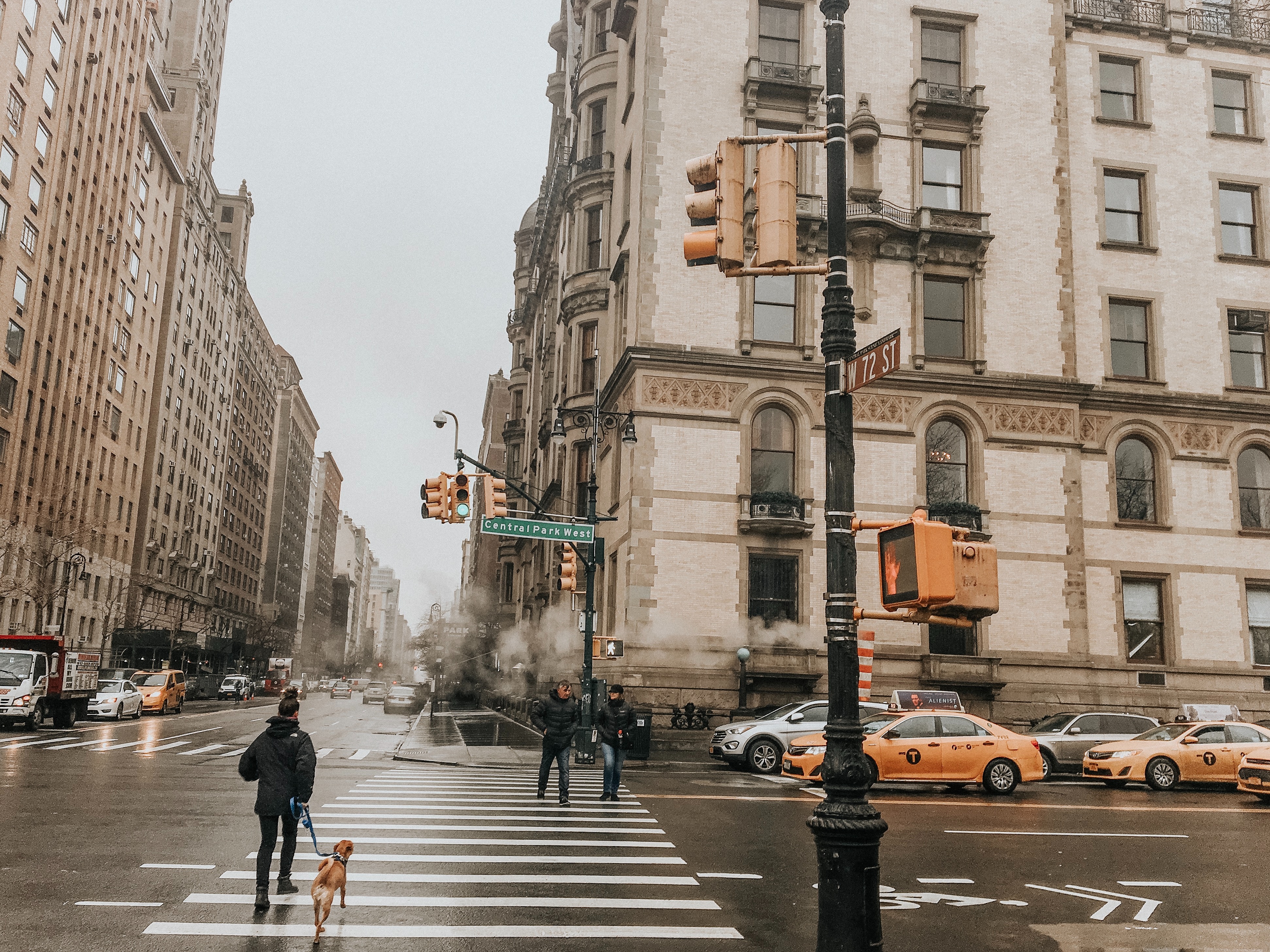 2019 Fitness Goals for Your Dog